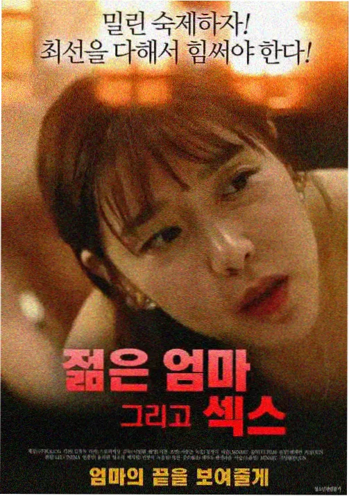 夜航西飞动画封面